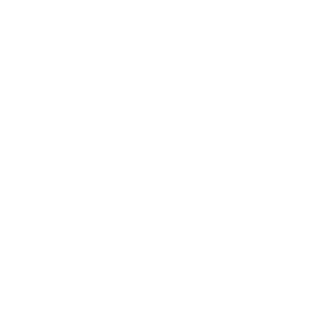 MT Steak