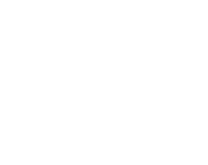 Toro Mídia