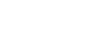 STYLUS