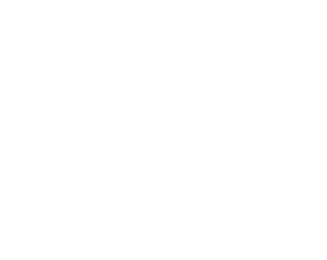 Toro Mídia
